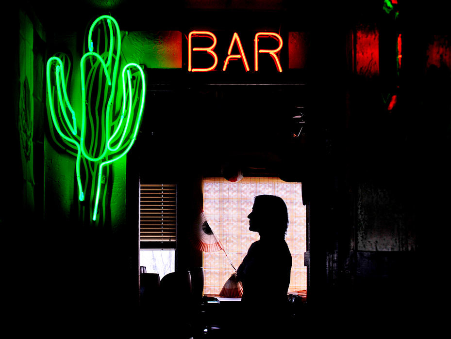 Portrait - 1st place - Ruth Sazo, owner of Viva Mexico in North Royalton is silhouetted in the bar area of the restaurant.   (Kyle Lanzer / Sun Newspapers)