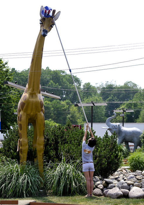 Feature - 1st placeCarolann Dye, an employee of Putt-Putt Golf and Games of Springfield, uses a long pole to place an Uncle Sam hat on the head of the giraffe sculpture on the miniature golf course for Memorial Day. (Bill Lackey / Springfield News-Sun)