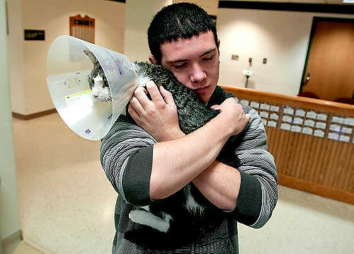 First place, Larry Fullerton Photojournalism Scholarship - Hannah Potes / Kent State UniversityDavid Nyssen, 18, holds his family cat Baby close after being reunited with him at Michigan State University's Veterinary Clinic in East Lansing, MI. Baby was shot in the head with a crossbow in the Nyssen family's neighborhood in Jackson, MI. 