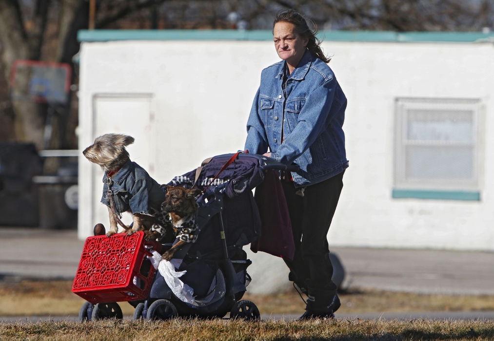 Award of Excellence, Feature - Eric Albrecht / The Columbus DispatchCarolyn Frayer of Columbus makes her way along Harrisburg Pike. Carolyn lets her dogs Joey and Teddy walk but when she gets near traffic she gives them a ride to make it safer. 