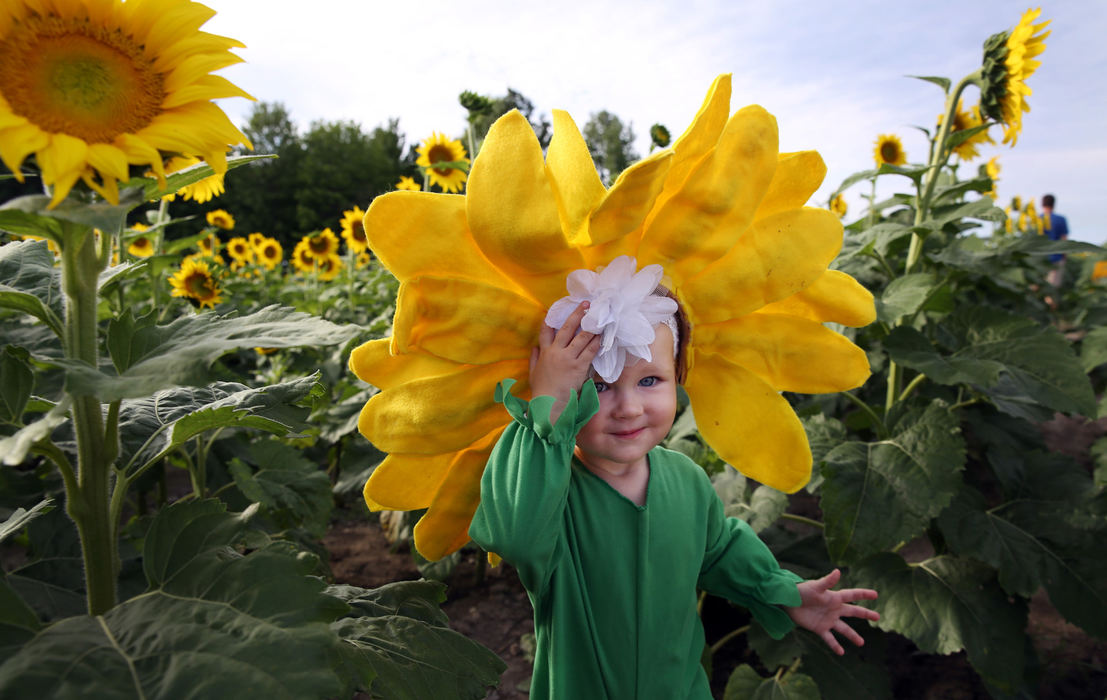 Award of Excellence, Photographer of the Year - Large Market - Gus Chan / The Plain DealerKiley Kinyon, 20 months, runs through a sunflower field in Avon.  Maria's Field of Hope was planted in memory of Maria McNamara who died of brain cancer in 2007.  This year 4.2 million seeds were planted in the 48 acre field.  Kinyon was dressed up for pictures her mother was taking. 
