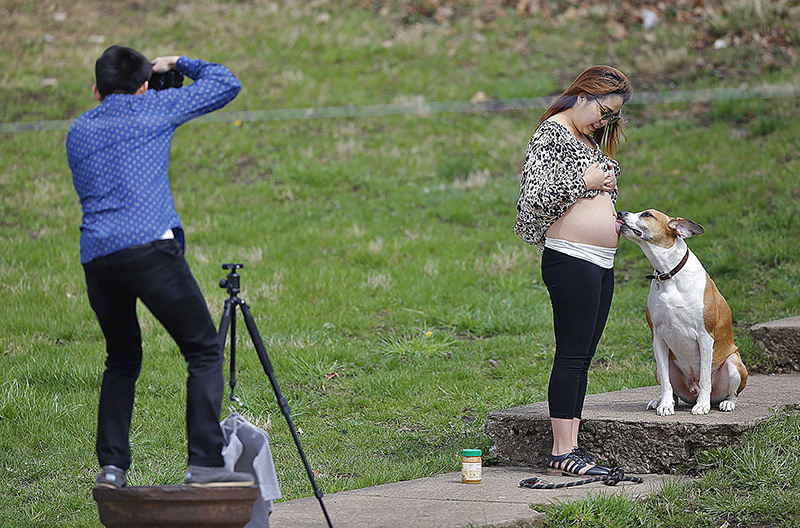 Feature - 3rd place - Mike and Heeyeon Ko work together to create a family photograph to celebrate and announce the news that they are expecting a boy.  They gathered at Griggs Reservoir with their dug Gus to make a variety of photos to send out to family with the announcement.   (Chris Russell / The Columbus Dispatch)