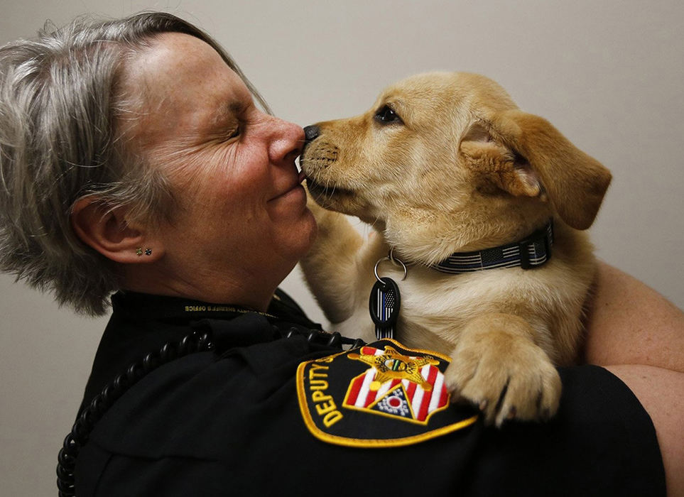 General News - 2nd place - Franklin County Sheriff's Deputy Darrah Metz gets a kiss from Mattis, a new therapy puppy who will be trained to comfort crime victims and their families.  (Jonathan Quilter / The Columbus Dispatch)