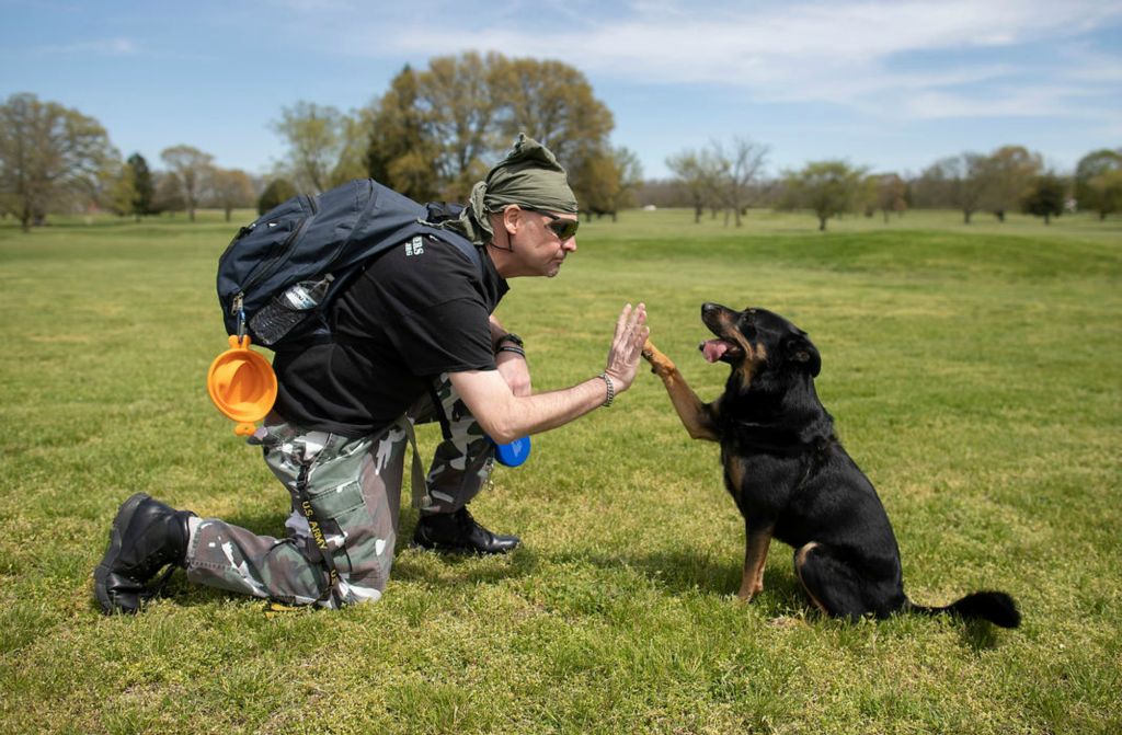 Portrait - 3rd place - Army veteran Damon Wright, 48, who served in Desert Storm, gets a high five from his dog, Bandit, a 3-year-old border collie-Australian shepherd mix, at the VA Medical Center Golf Course near his apartment in Chillicothe. Wright was paired with the dog from Veteran Companion Animal Services.  Adam Cairns / The Columbus Dispatch