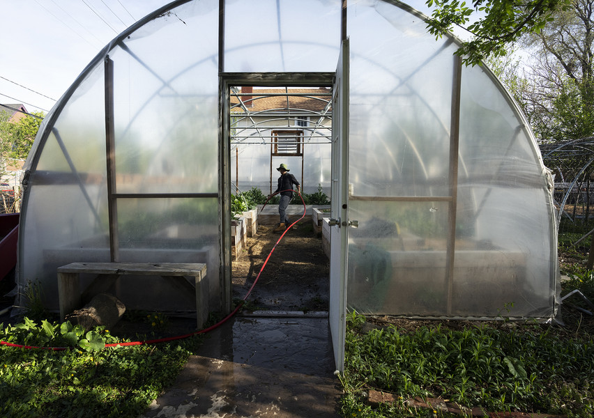 Feature - 1st place - Ishmael Ewing, a Junior at The Ohio State University studying Agriculture Science Education, tosses the hose while he waters the plants at Franklinton Gardens. Ewing started the job two weeks ago, he was hired as a part time education contractor at the non-profit.  (Brooke LaValley / The Columbus Dispatch)