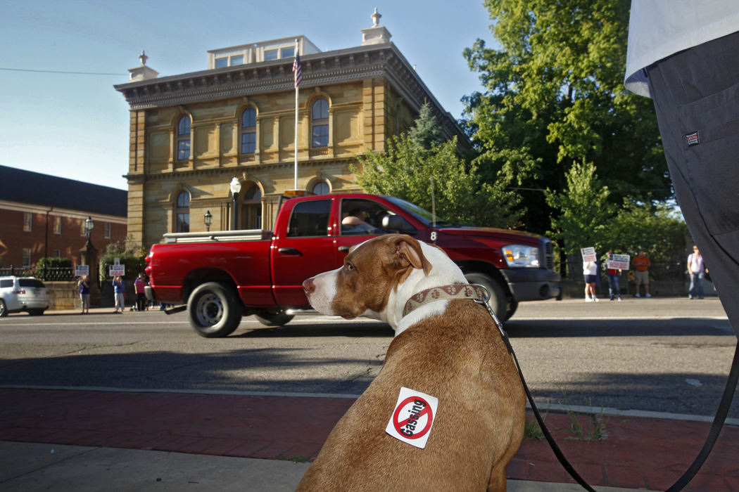 General News - HM"Kindle" wore a sticker placed on him by his owner Sherry Waters from Lancaster outside the Fairfield County government building during a rally with Animal-welfare advocates protesting the Fairfield County Dog Shelter's gas chamber. (Tom Dodge / The Columbus Dispatch)