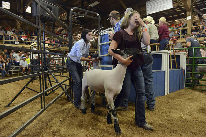 General News - 1st place - Abbie Tooms becomes emotional after auctioning off her sheep during the Junior Fair Market Sheep Sale at the Muskingum County Fair in Zanesville. (Shane Flanigan / Zanesville Times Recorder)