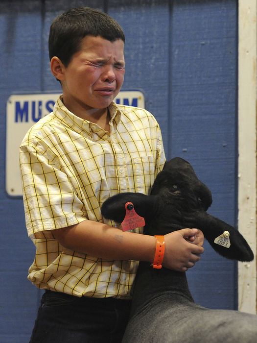 General News - HM - Ty Heil of Zanesville becomes emotional while guests bid on his sheep during the Junior Fair Market Sheep Sale at the Muskingum County Fair in Zanesville. (Shane Flanigan / Zanesville Times Recorder)