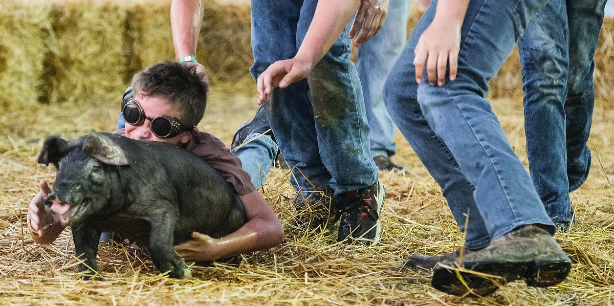 General News - 3rd placeEdison Stawowy, 13, of Fremont can't hold on during a pig scramble as part of the Sandusky County Fair in Fremont. Winners have the option of keeping the pig or taking twenty five dollars.  (Jeremy Wadsworth / The Blade)