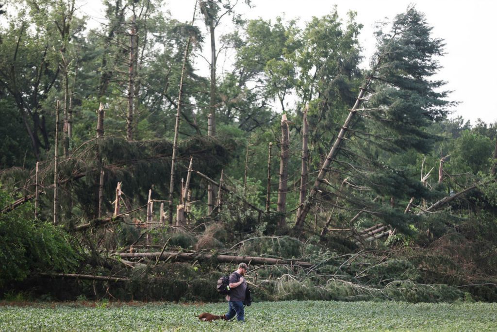 Spot News - 2nd place - Tyler Mester walks through a field with his dog, Piper, after their street was struck by a possible tornado in Petersburg, Michigan. (Rebecca Benson / The Blade)