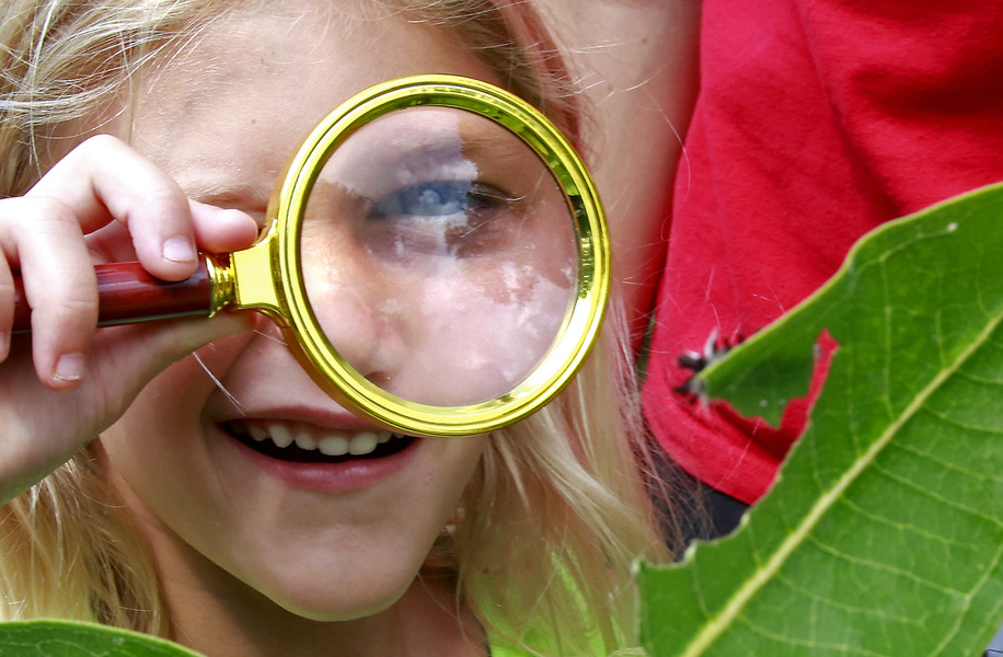 Feature - 1st place - Kate Williamson, 6, uses a magnifying glass to check out a fuzzy caterpillar munching on a plant in the pollinator garden at the Snyder Park Gardens and Arboretum during the Garden Jubilee.  (Bill Lackey / Springfield News-Sun)   (Bill Lackey / Springfield News-Sun)