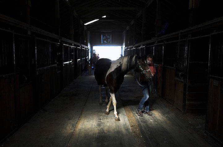 July - 3rd place story - Riley DaRe, 13, moves her horse Raven into the stall during the Union County Fair in Marysville. (Kyle Robertson / The Columbus Dispatch)