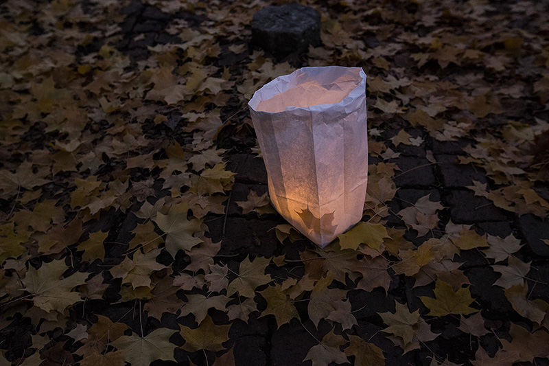 Illustration - 2nd place - A leaf rests in a luminary along 3rd Street during the "German Village Lights" celebration in Columbus. The celebration features luminaries that line the streets of German Village to guide visitors to local businesses and restaurants.  (Brooke LaValley / The Columbus Dispatch)