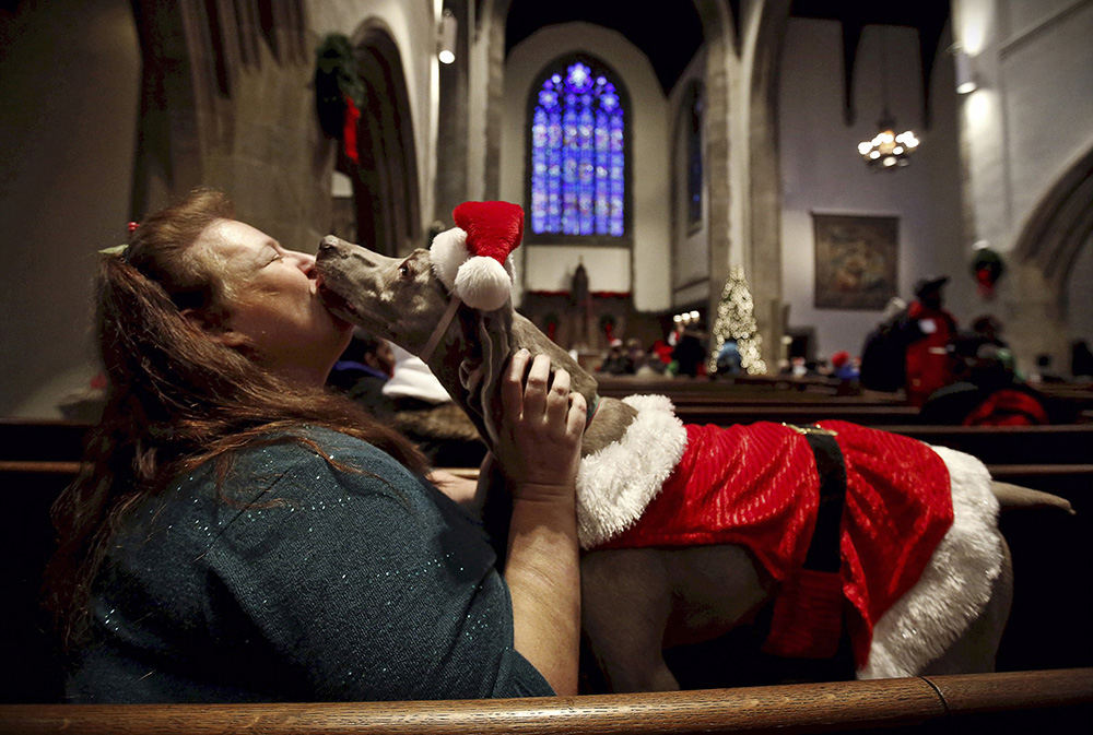 Feature - 1st place - Scarlet, a 12-year-old Weimaraner therapy dog, gives owner Michele Cutler a kiss while the two rest on a pew inside First Congregational Church during the Bethlehem on Broad Street event on Christmas Day.  (Tom Dodge / The Columbus Dispatch)