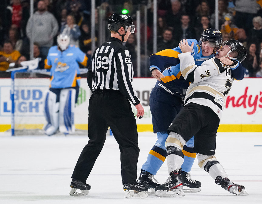 Sports - 3rd place - Toledo Walleye defender Charle-Edouard D'Astous (14) fights Wheeling Nailers forward Brandon Hawkins (7) during anECHL hockey game at the Huntington Center in Toledo. (Jeremy Wadsworth / The Blade)