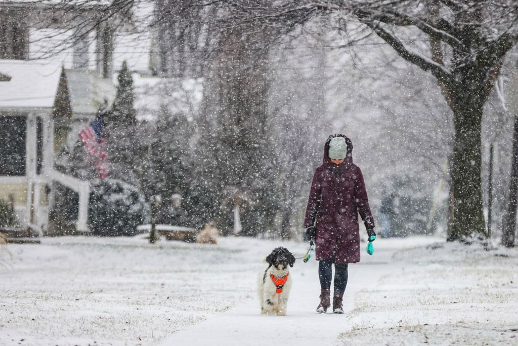 General News - HM - Jamie Squibb walks Rooney, a bernedoodle, along Maplewood Avenue in Sylvania. (Rebecca Benson / The Blade)