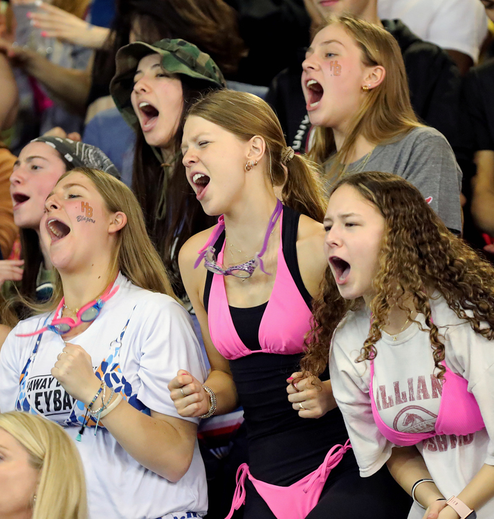 Sports Feature - 2nd place - Students from Hathaway Brown cheer on their classmates during the Division II state swimming tournament in Canton. (Jeff Lange / Akron Beacon Journal)