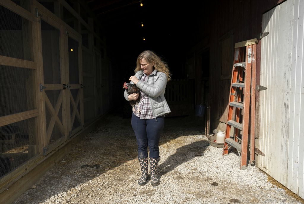 Portrait - 2nd place - Sharon Maish of Maish Meadow Farm & Preserve holds one of her Speckled Sussex Chickens in the barn where they are kept.  (Brooke LaValley / The Columbus Dispatch)