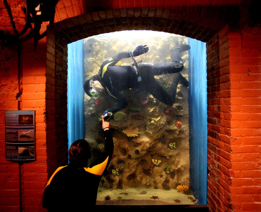 Feature - 2nd placeA diver twists sideways  to wipe a missed spot that fellow diver Halle Minshall (foreground) finds while cleaning the Rock Pool tank in the corridor at the Greater Cleveland Aquarium. (Lisa DeJong / The Plain Dealer)