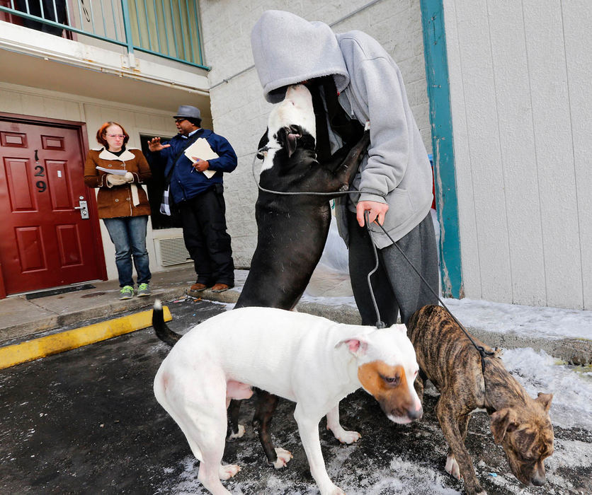 General News - HM - Nelson Gotay gets a kiss from pit bull mix Leo while standing with his other two dogs Face (left) and Hera as his girlfriend Shelia Billings discusses housing options with Thom Adams of Maryhaven after being evicted from the Red Carpet Inn. The two planned to stay with a friend because Nelson was concerned about having to give up his dogs if he went into a shelter. The Red Carpet Inn was closed after Judge Daniel R. Hawkins signed an order to close the motel, which was deemed a "nuisance." City police officers swept rooms and doors were secured against re-entry. A COTA bus was on hand and shelter coordinators from the Maryhaven Collaborative Outreach Team were available to assist the displaced with short term housing needs.  (Barbara J. Perenic / The Columbus Dispatch)