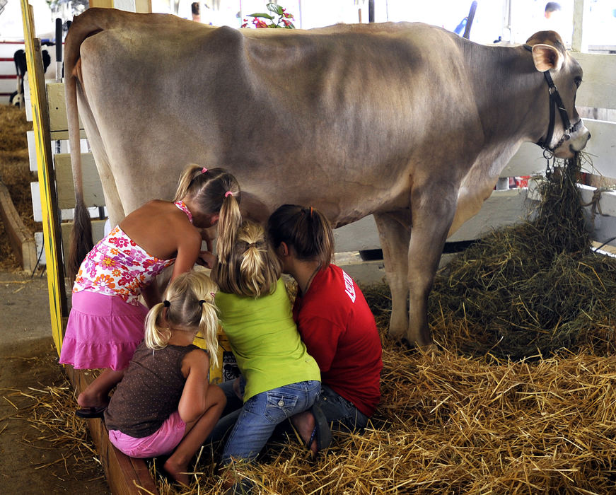 Feature - 1st place - A group of young girls get an up close view as Ashlynn Lear, 15, milks her dairy cow Saturday during the Clark County Fair.  (Bill Lackey / Springfield News-Sun)