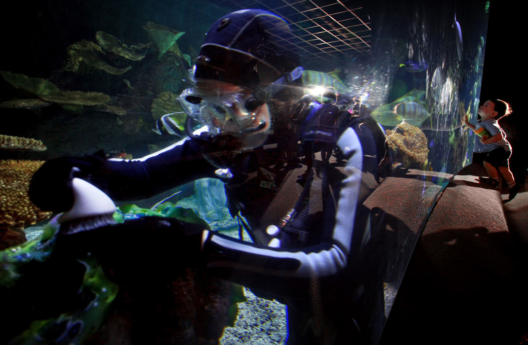 Portrait - 2nd place - Ben Deutschle (left) a volunteer diver at the Columbus Zoo and Aquarium cleans the Coral Reef while Evan Dougherty looks at fish with his father Rob (not pictured). (Tom Dodge / The Columbus Dispatch)