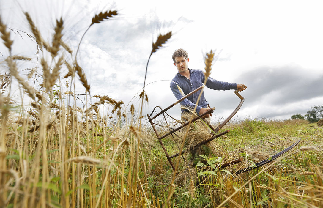 Feature - HMIan  Schwartz hand cuts a small plot of wheat on his small farm near Somerset.   (Chris Russell / The Columbus Dispatch )