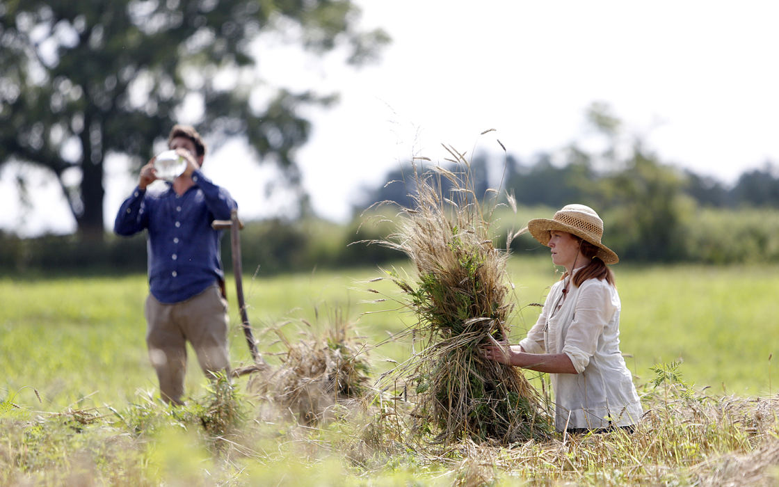 Story - 2nd placeIan Schwartz gets a drink of water while his wife Meghan gathers harvesting wheat into small shocks at their farm near Somerset. (Chris Russell / The Columbus Dispatch )