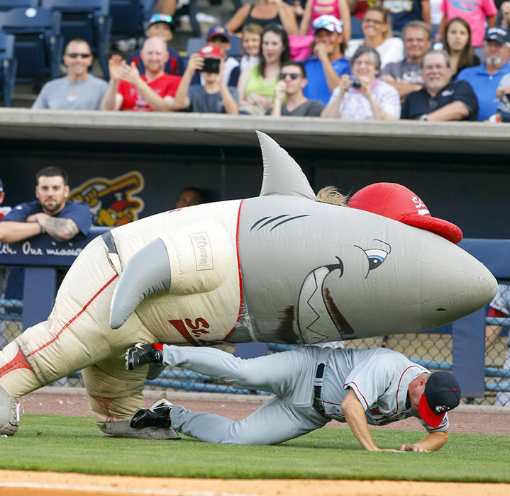 Sports Feature - 3rd place - Shark McQuire of the Zooperstars knocks down a "Pawtucket player" between innings as the Toledo Mud Hens play Pawtucket at Fifth Third Field.  The player is actually a Zooperstar in a Pawtucket uniform.  (Andy Morrison / The (Toledo) Blade)