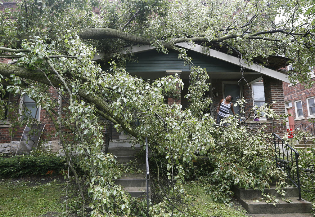 Spot News - 1st place - Rebecca Cason inspects the damage caused by a fallen tree on her daughter's house near the intersection of East 9th Avenue and North 4th Street in Columbus. Five people were in the house when the tree split in half and fell on the front porch. It had just started raining, so everyone was inside and unhurt. (Adam Cairns / The Columbus Dispatch)