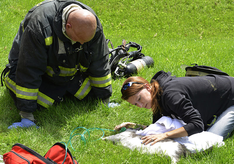 Spot News - 1st place - Jacci Ryan gives her cat oxygen after it was brought out of her burning house on Enon-Xenia Road by a firefighters. Two other cats died in the fire but they were able to revive this one and a rabbit. Firefighters arrived on the scene to find the house fully involved with flames coming out the windows.  (Bill Lackey / Springfield News-Sun)