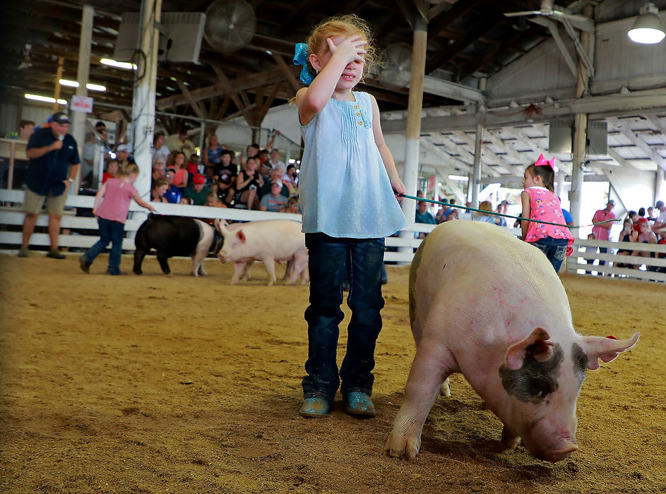 Feature - 2nd placeIt was hot and the pigs were not cooperating as Kinley Neff, 6, found out as she participated in the junior showmanship competition in the Swine Arena at the Clark County Fair.  (Bill Lackey/Springfield News-Sun)