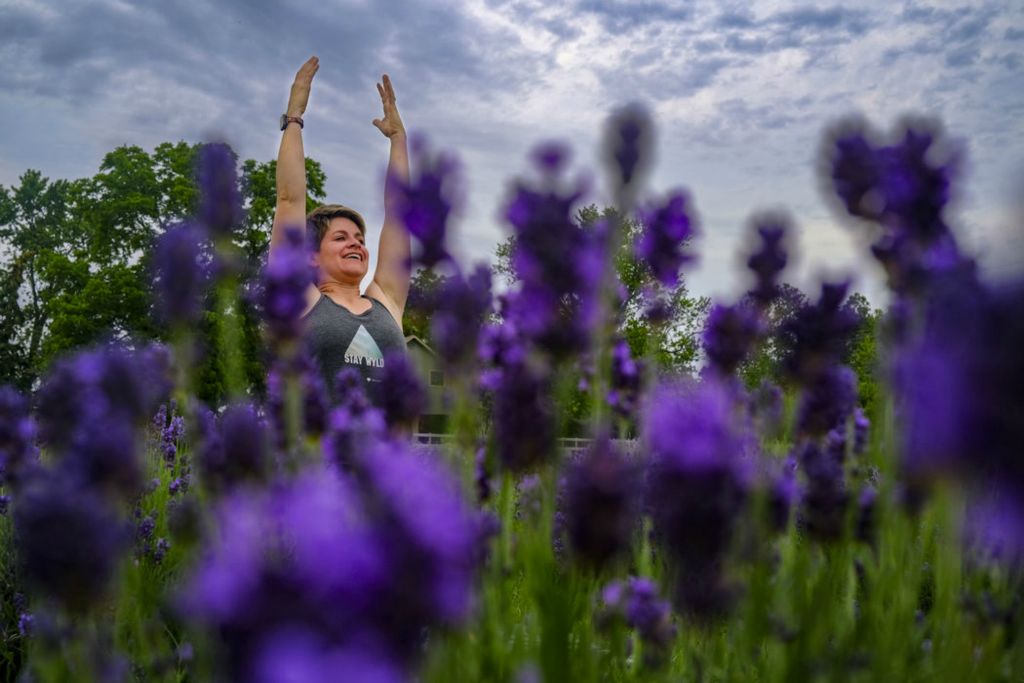 Story - 1st place - Kylee Wongrowski, owner of the Luckey Road Lavender Farm, participates in the Sunset Lavender Yoga event at the Luckey Road Lavender Farm in Pemberville.   (Jeremy Wadsworth / The Blade)  