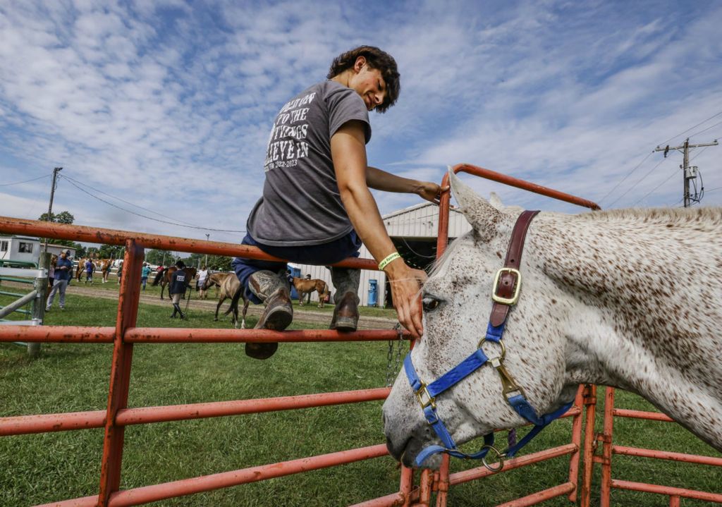 Feature - 1st place - Rylan Andrews, 17, of Delta, pets his horse “Durango” before showing him during the Lucas County Fair in Maumee.  (Jeremy Wadsworth / The Blade)