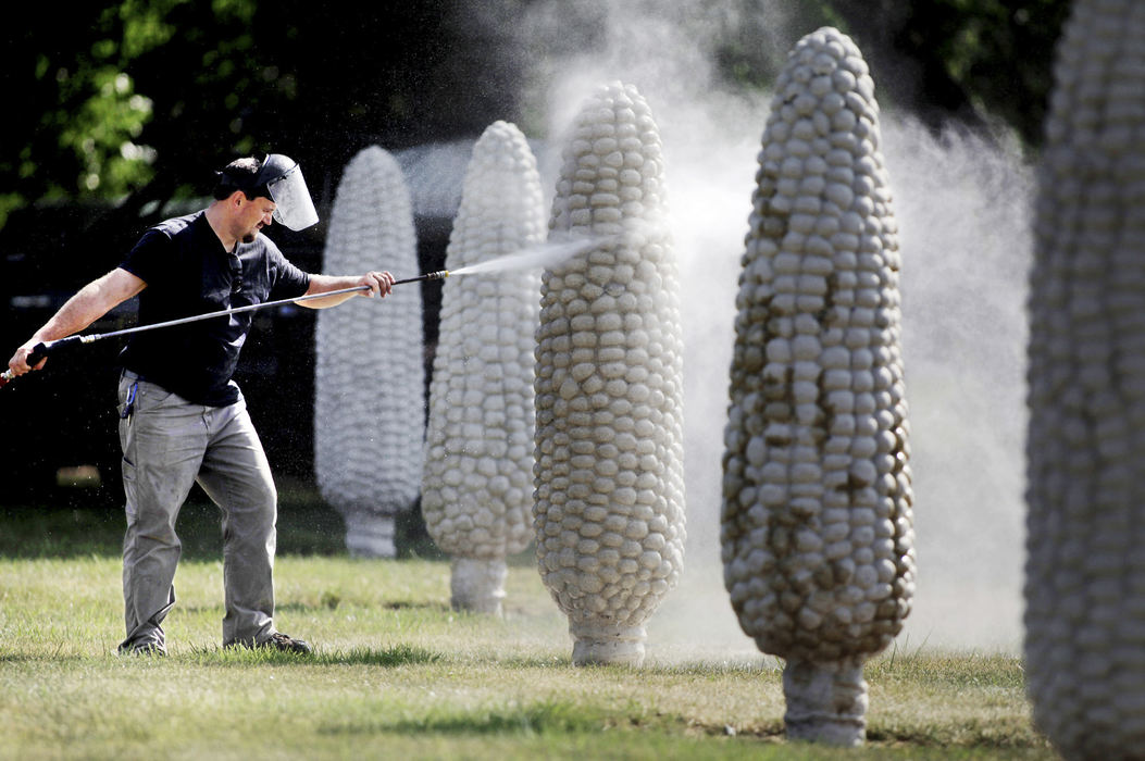 Feature - HMConservator Marcin Pikus pressure washes an ear of the Field of Corn (with Osage Oranges) in Dublin. The city of Dublin is spending $74,000 on maintenance on the sculpture and work will continue off and on throughout the summer. The 109 ears, each of which is 6 feet tall, will be cleaned and "kernals" that are damaged or worn down will be replaced.  (Fred Squillante / The Columbus Dispatch)