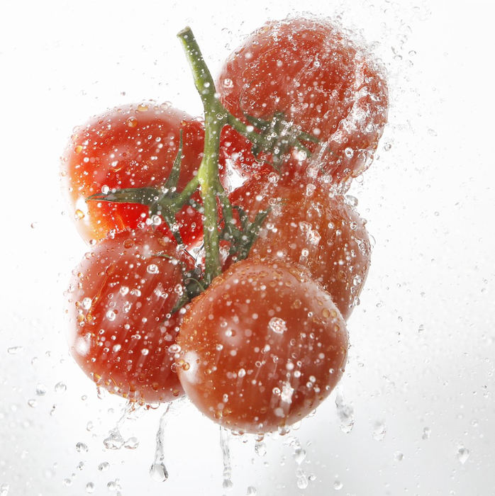 Illustration - 1st placeIllustration on the proper way to clean and rinse fresh vegetables.   (Chris Russell / The Columbus Dispatch )