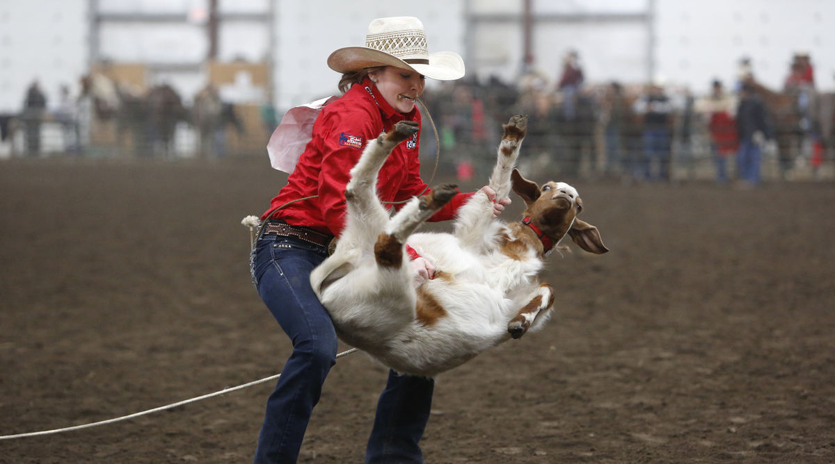 Story - 1st placeJosie Hume lifts her goat up in the air to prepare to tie it in a goat tying competition during an early spring rodeo in Springfield. (Chris Russell / The Columbus Dispatch)