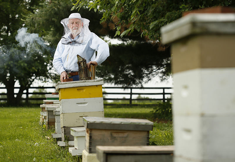 APortrait - 1st place - Barry Conrad stands among the 18 active hives on his 11-acre Canal Winchester farm with his granddaughter Tess Conrad. Each hive can house 50,000 bees. Conrad, whose honey won best of show in the 2014 American Beekeeping Federation's National Honey Show, lost many of his hives over the winter.  (Adam Cairns / The Columbus Dispatch)