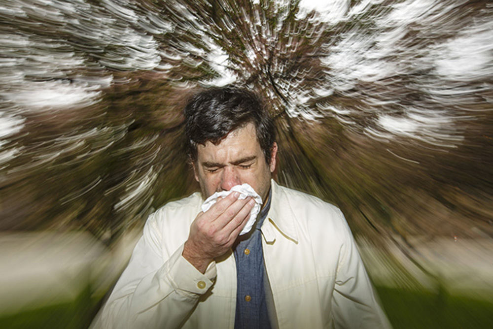 Illustration - 1st place - Seasonal allergies have many people sneezing this time of year. (Andy Morrison / The (Toledo) Blade)