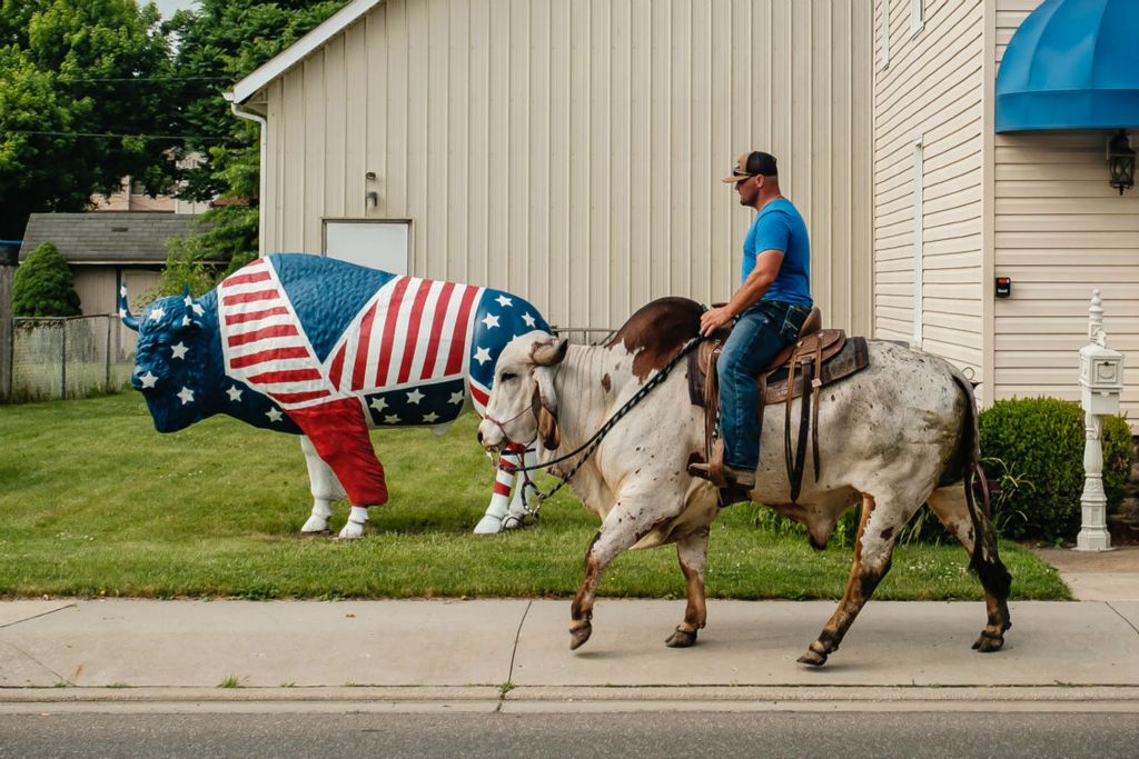 Feature - 1st place - Adrian Mast rides a 3-year-old Brama bull named Bruce from Sugarcreek to Rural King in New Philadelphia. “He needs to get some work in,” said Adrian. Mast is a professional rodeo bull rider.  (Andrew Dolph / The Times Reporter)