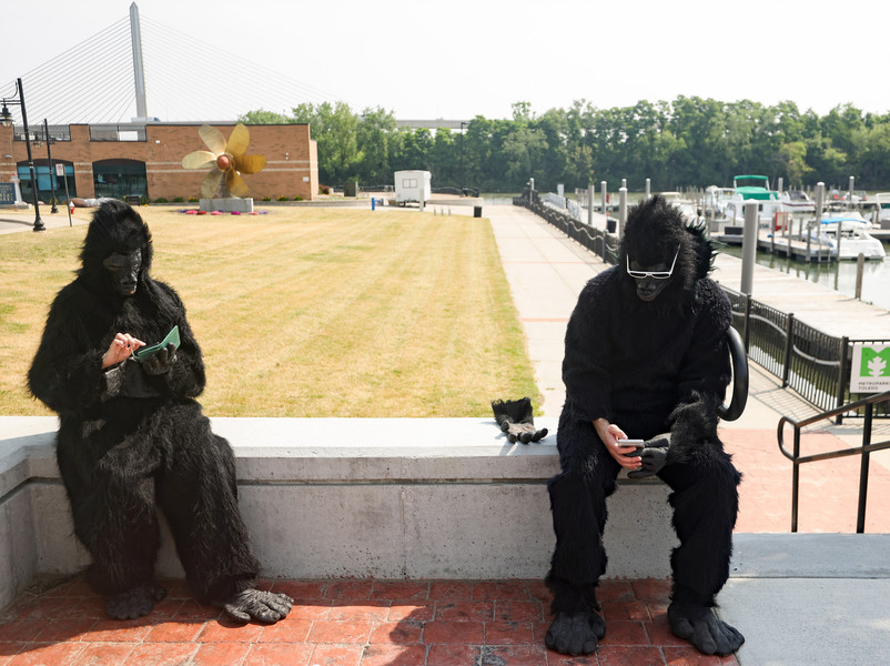 Feature - 2nd place - Clad in gorilla costumes, Ann Greve, of Elk Rapids, Michigan (left) and John Vesbit, of Ann Arbor browse their phones as they wait to surprise Dominic, Ann’s son and John’s brother, for his birthday at the National Museum of the Great Lakes in East Toledo. (Kurt Steiss / The Blade)