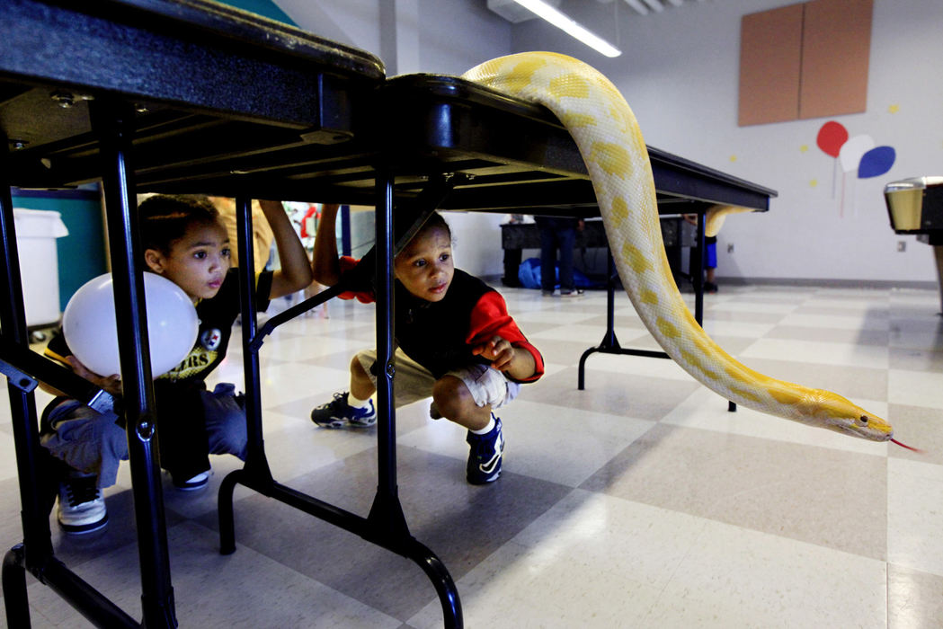 Feature - 3rd placeQuan Ragland, 10, (left) and Ishmael Bowers, 7, get a close look at Mango, an albino burmese python from the Columbus Zoo at Dodge Recreation Center. Zoo animals were just part of a Happy 200th Birthday Columbus party held at the recreation center.  (Fred Squillante / The Columbus Dispatch)