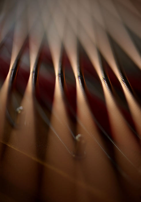 Illustration - 2nd placeThis is a close up of the base strings of a Steinway & Sons "Model A" grand piano at Mattlin-Hyde in Lyndhurst. The piano company, with Cleveland roots that date back 100 years, is liquidating it's pianos because the building was sold. Owner Ted Good, which owns Steinway-Hall in Akron piano company, said he hopes to eventually open another Cleveland store.  ( Lisa DeJong / The Plain Dealer)