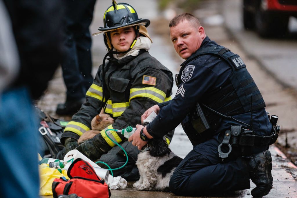 Spot News - 1st place - Uhrichsville Police Sgt. Mike Hickman and his son, Uhrichsville Firefighter, Jake, work to resuscitate animals rescued during a residential structure fire at 1119 Trenton Ave., in Uhrichsville. Three animals were reported as deceased, and two were directly rescued, according to police on scene. (Andrew Dolph / The Times Reporter)