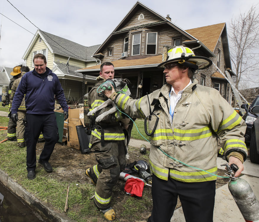 Spot News - 2nd place - Toledo Firefighters give oxygen to a dog who was affected by smoke inhalation during a fire at 966 Gordon Street in Toledo. (Jeremy Wadsworth / The Blade)