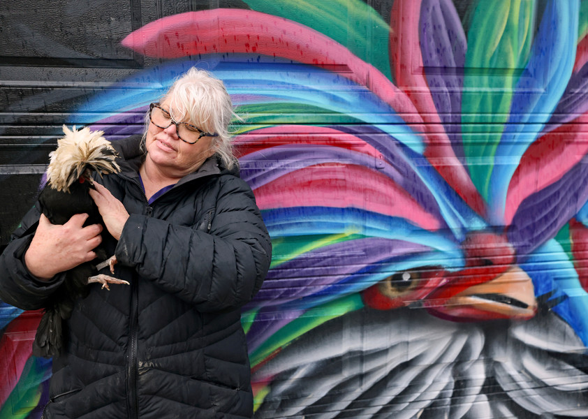 Portrait - 2nd place - Liz Dickens poses with her Polish chicken Luvvie at her home in Toledo. The mural behind is based on Luvvie.  (Kurt Steiss / The Blade)