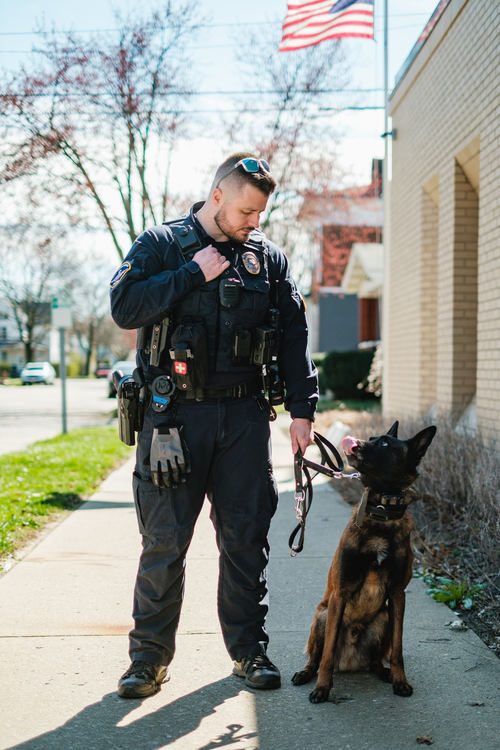 Portrait - 3rd place - New Philadelphia Police officer Brad Geist has been partnered with Cooper, a four-year-old Belgian Malinois, for two years. Cooper is a multipurpose dog, but was not trained to detect marijuana. State Reps. Sean P. Brennan, a Democrat from Parma, and Josh Williams, a Republican from Sylvania, have co-sponsored House Bill 396, which would pay law enforcement departments up to $20,000 to offset the cost of acquiring, training, and equipping new dogs that will not alert to the smell of marijuana. (Andrew Dolph / The Times Reporter)