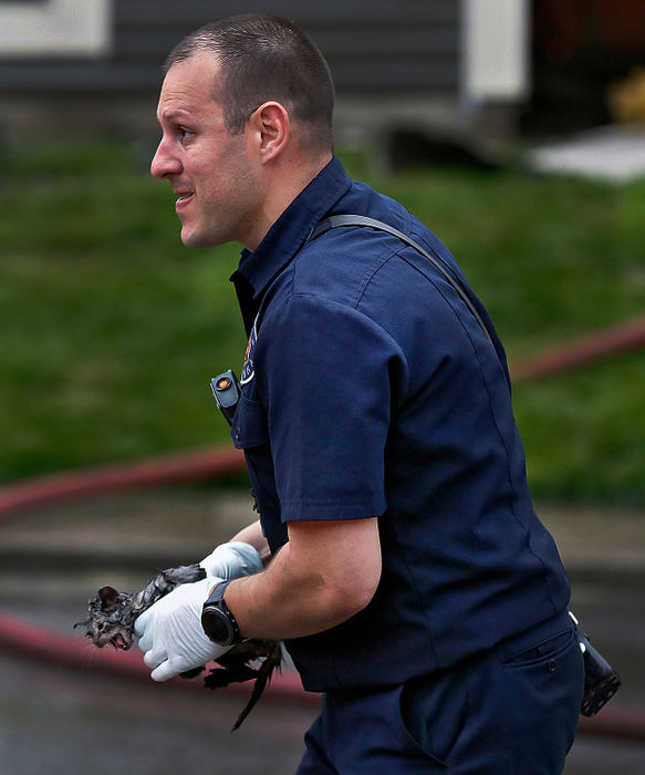 Spot News - 2nd placeMifflin Township firefighter Jason Frankle helps transport a baby kitten that was rescued by firefighters during a two-alarm fire at a northeast Columbus apartment building near 5918 Fallston Ct.  The kitten received oxygen from paramedics at the scene.  (Kyle Robertson/The Columbus Dispatch)