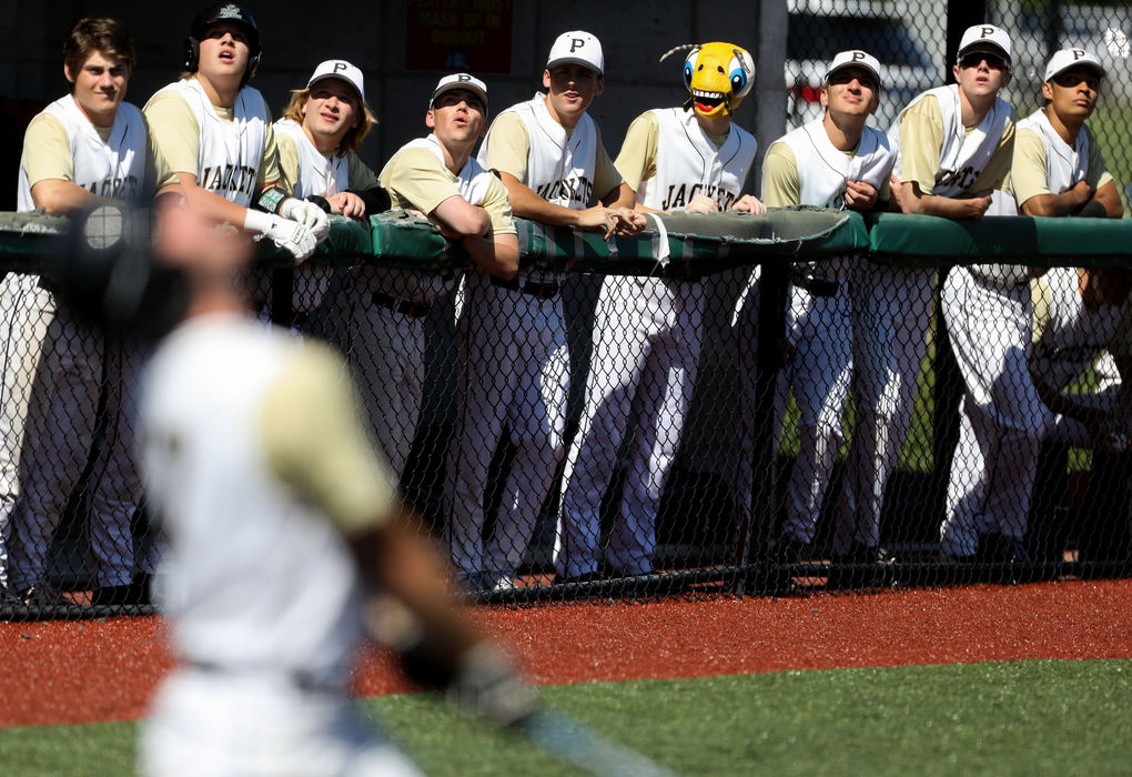 Perrysburg’s Jacob Zilles (1) wears a yellow jacket mask in the dugout during the Division I baseball district championship game against St. John’s Jesuit at Defiance High School.