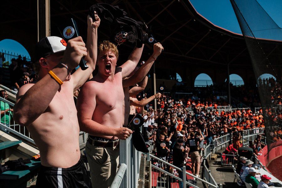 2nd -  Story - 1st place - Minster fans cheer for Mikaela Hoskins after she hit an RBI single to center field during in the Division IV state softball semifinal game against Strasburg at Firestone Stadium in Akron. Strasburg defeated Minster, 10-1 in seven innings. (Andrew Dolph / The Times Reporter)   (Andrew Dolph / The Times Reporter)